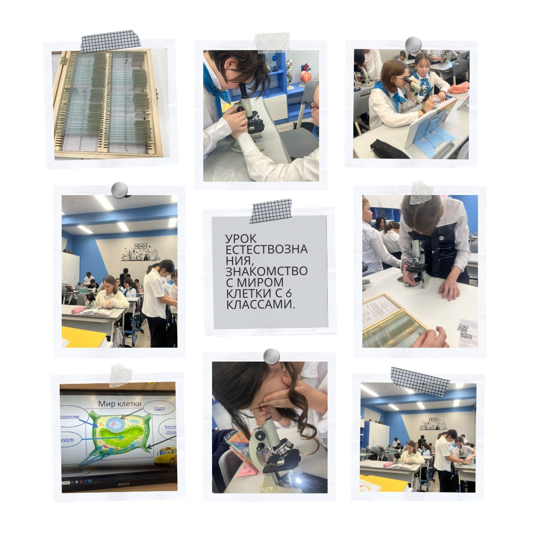 Урок естествознания,  знакомство с миром клетки с 6 классами.